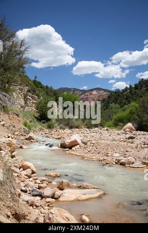 Coal Creek während der Wanderung im Cedar Canyon, Dixie National Forest, Utah, USA Stockfoto