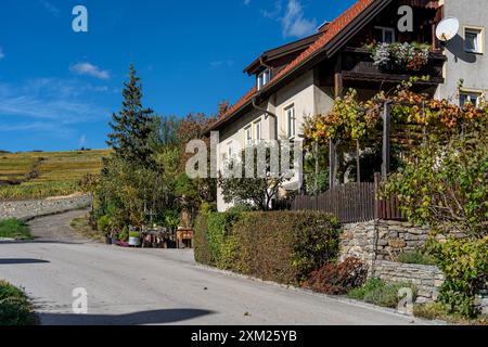 Ein charmantes österreichisches Haus mit einem mit Weinreben bedeckten Spalier liegt an einer ruhigen Straße mit Blick auf die Weinberge in der Ferne. Stockfoto