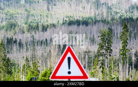 PRODUKTION - 25. Juli 2024, Niedersachsen, Oderbrück: Ein vom Rindenkäfer zerstörter Fichtenwald steht im Nationalpark Harz - fotografiert mit einem Verkehrsschild. Schädlinge wie der Rindenkäfer, Dürre und Klimawandel fordern ihren Tribut an den deutschen Wäldern. Ganze Landschaften und Naturräume verändern sich. Im Harz hat der Rindenkäfer Zehntausende Hektar Fichtenwälder zerstört. Foto: Julian Stratenschulte/dpa Stockfoto