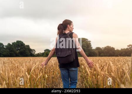 Eine Frau, die auf einem Weizenfeld läuft, läuft mit den Händen durch den Weizen. Stockfoto