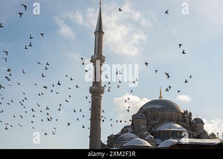 Taube fliegt um die Minarette der Moschee herum Stockfoto