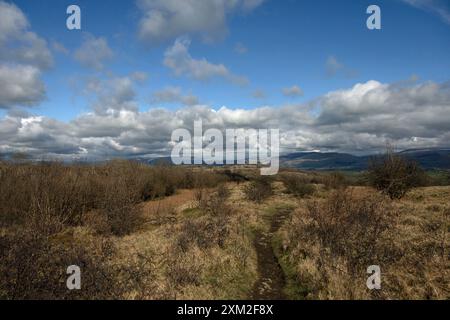 Das Gipfelplateau Hutton Roof Crags bei Burton in Kendal Westmorland und Furness England Stockfoto