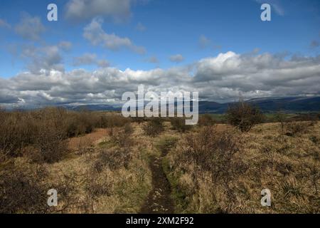 Das Gipfelplateau Hutton Roof Crags bei Burton in Kendal Westmorland und Furness England Stockfoto