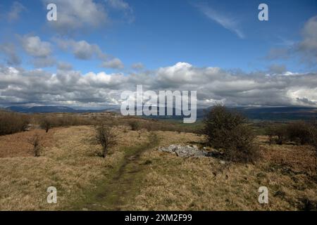 Das Gipfelplateau Hutton Roof Crags bei Burton in Kendal Westmorland und Furness England Stockfoto