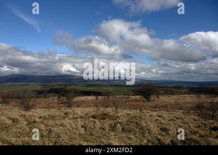 Das Gipfelplateau Hutton Roof Crags bei Burton in Kendal Westmorland und Furness England Stockfoto