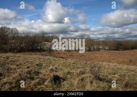 Das Gipfelplateau Hutton Roof Crags bei Burton in Kendal Westmorland und Furness England Stockfoto