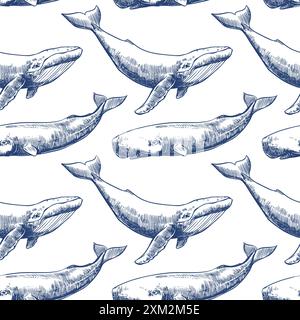 Nahtloses Vektor-Muster mit Walen und Pottwalen. Meerestiere in Gravurtechnik, Freihandzeichnung mit Tusche. Weißer Hintergrund. Kann verwendet werden Stock Vektor