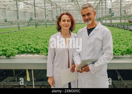 Porträt zweier Wissenschaftler in einem Gewächshaus, das Salat anbaut. Gewächshausarbeiter, Angestellte schauen in die Kamera. Erwachsene Männer und Frauen schauen in die Kamera Stockfoto