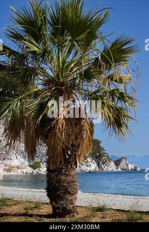 Sommer auf See an der griechischen Küste der Insel Skopelos Stockfoto