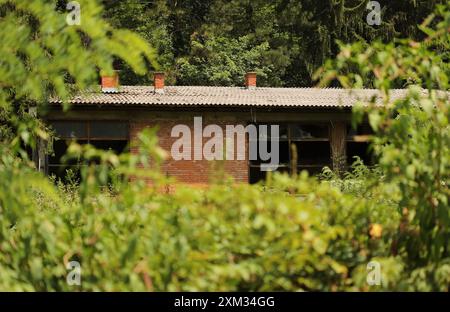 Altes Haus im Wald Stockfoto