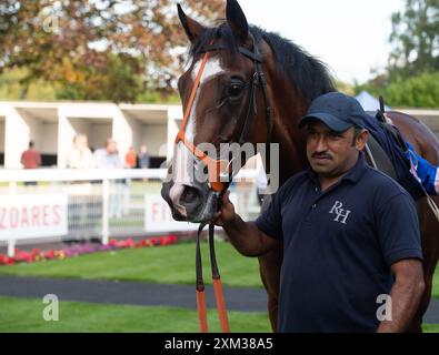 Windsor, Berkshire, Großbritannien. Juli 2024. Pferd Houstonn, geritten von Jockey Pat Dobbs, gewinnt die Download the Racing App 43 Now Maiden Stakes (Klasse 5) (Div II) (GBB Race) auf der Royal Windsor Racecourse in Windsor, Berkshire. Besitzerin Frau Johnny de la Hey, Trainer Richard Hannon, Marlborough, Züchter Sun Kingdom Pty Ltd, Sponsor Tote. Kredit: Maureen McLean/Alamy Stockfoto
