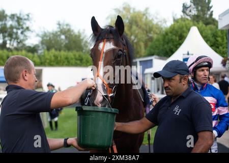 Windsor, Berkshire, Großbritannien. Juli 2024. Pferd Houstonn, geritten von Jockey Pat Dobbs, gewinnt die Download the Racing App 43 Now Maiden Stakes (Klasse 5) (Div II) (GBB Race) auf der Royal Windsor Racecourse in Windsor, Berkshire. Besitzerin Frau Johnny de la Hey, Trainer Richard Hannon, Marlborough, Züchter Sun Kingdom Pty Ltd, Sponsor Tote. Kredit: Maureen McLean/Alamy Stockfoto