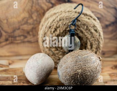 Getrocknete Kopra-Zellstoff und Seile aus Fasern der Kokosnuss Cocos nucifera Stockfoto