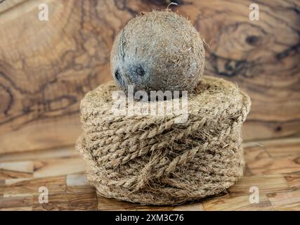 Getrocknete Kopra-Zellstoff und Seile aus Fasern der Kokosnuss Cocos nucifera Stockfoto