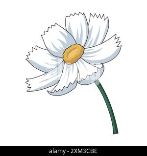 Illustration einer einzigen Kosmosblume mit kleinen gelben Staubblättern und mehreren Schichten weißer Blätter Stock Vektor