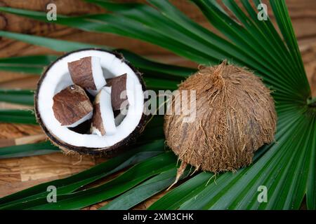 Getrocknete Kopra-Zellstoff und Seile aus Fasern der Kokosnuss Cocos nucifera Stockfoto