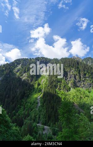 Landschaftsblick in der Nähe des Berges Grossvenediger im österreichischen Dorf Neukirchen Stockfoto