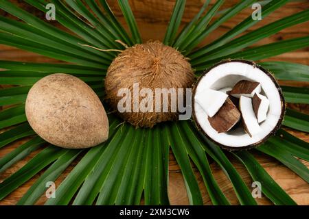Getrocknete Kopra-Zellstoff und Seile aus Fasern der Kokosnuss Cocos nucifera Stockfoto