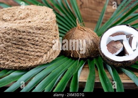 Getrocknete Kopra-Zellstoff und Seile aus Fasern der Kokosnuss Cocos nucifera Stockfoto