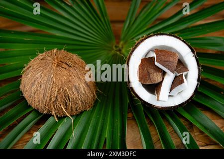 Getrocknete Kopra-Zellstoff und Seile aus Fasern der Kokosnuss Cocos nucifera Stockfoto