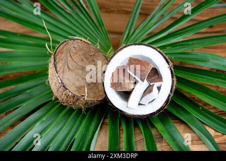 Getrocknete Kopra-Zellstoff und Seile aus Fasern der Kokosnuss Cocos nucifera Stockfoto
