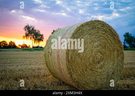 Strohernte - ein runder Strohballen vor malerischem Sonnenuntergang im Hintergrund. Erntezeit - runde Strohballen liegt auf einem Stoppelacker mit orangem Sonnenuntergang im Hintergrund. Region Weser-Ems Niedersachsen Deutschland *** Strohernte ein runder Strohballen vor einem malerischen Sonnenuntergang im Hintergrund der Erntezeit liegen runde Strohballen auf einem Stoppelfeld mit orangefarbenem Sonnenuntergang im Hintergrund Weser-Ems-Region Niedersachsen Deutschland Stockfoto