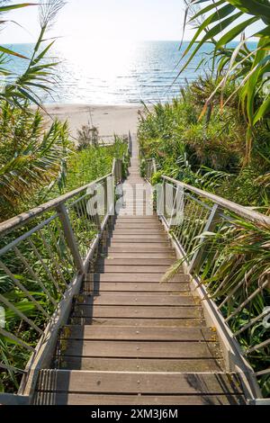 Holztreppen führen an einem sonnigen Tag von der Klippe auf den Sand, Holztreppen Stockfoto