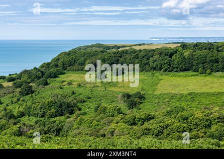 Blick auf Eastbourne und Beachy Head vom Hastings Country Park in East Sussex, England Stockfoto