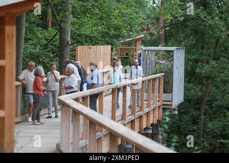 Nürnberg, Deutschland. Juli 2024. Besucher spazieren auf dem Baumkronenweg im Zoo. Ab Freitag können Besucher des Zoos über einen 450 Meter langen und 2,5 Meter breiten Holzsteg in bis zu 20 Meter Höhe spazieren. Die Brückenkonstruktion, die als „Klimawaldpfad“ konzipiert ist, ermöglicht es, den Wald auf spielerische Weise zu erleben und ist auch mit Kinderwagen und Rollstühlen erreichbar. Darlegung: Daniel Löb/dpa/Alamy Live News Stockfoto