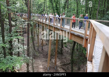 Nürnberg, Deutschland. Juli 2024. Besucher spazieren auf dem Baumkronenweg im Zoo. Ab Freitag können Besucher des Zoos über einen 450 Meter langen und 2,5 Meter breiten Holzsteg in bis zu 20 Meter Höhe spazieren. Die Brückenkonstruktion, die als „Klimawaldpfad“ konzipiert ist, ermöglicht es, den Wald auf spielerische Weise zu erleben und ist auch mit Kinderwagen und Rollstühlen erreichbar. Darlegung: Daniel Löb/dpa/Alamy Live News Stockfoto