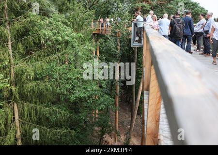 Nürnberg, Deutschland. Juli 2024. Besucher spazieren auf dem Baumkronenweg im Zoo. Ab Freitag können Besucher des Zoos über einen 450 Meter langen und 2,5 Meter breiten Holzsteg in bis zu 20 Meter Höhe spazieren. Die Brückenkonstruktion, die als „Klimawaldpfad“ konzipiert ist, ermöglicht es, den Wald auf spielerische Weise zu erleben und ist auch mit Kinderwagen und Rollstühlen erreichbar. Darlegung: Daniel Löb/dpa/Alamy Live News Stockfoto