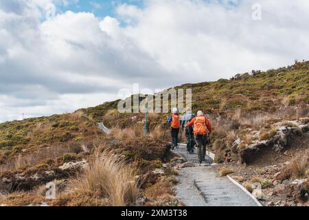 Eine Gruppe von Rucksacktouristen wandert auf der goldenen Wiese auf dem Tongariro Alpin Crossing Track an sonnigen Tagen auf der Nordinsel von Neuseeland Stockfoto