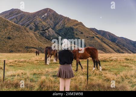 Rückansicht der Frau, die am Abend in Neuseeland steht und auf dem Feld mit Pferdegrast und Berggrund blickt Stockfoto