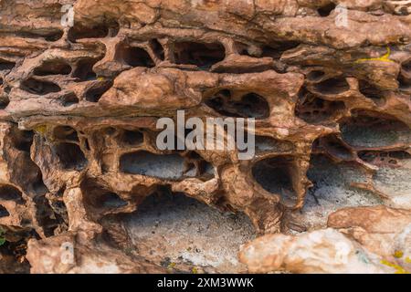 Die Textur roter Felsen, die durch den Lauf der Zeit in der Wüste an einem sonnigen Tag erodiert wurden, beleuchtet durch natürliches Licht Stockfoto