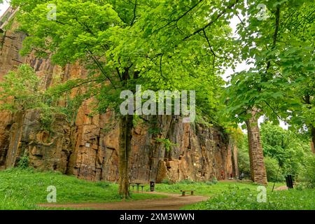 Felswände im Torrs Country Park am Fluss Goyt bei New Mills in Derbyshire, England. Stockfoto