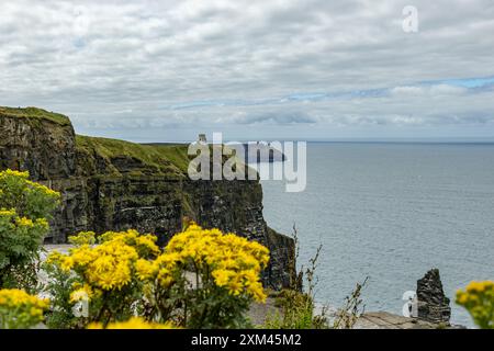 Malerischer Blick auf die Cliffs of Moher mit gelben Blumen im Vordergrund an einem bewölkten Tag in County Clare, Irland. Stockfoto