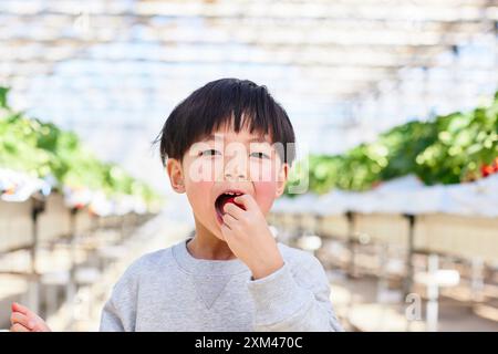 Junger asiatischer Junge, der eine Erdbeere isst Stockfoto