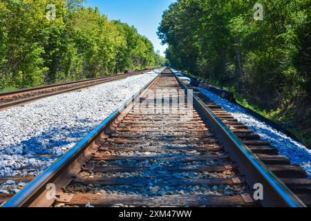 Bahngleise mit bewaldeten Flächen auf beiden Seiten. Zeilenvorderlinien der Spur lassen sich direkt in die Distanz übergehen. Stockfoto