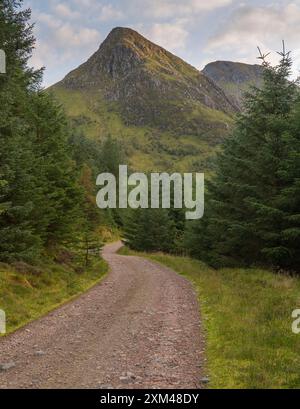 Waldspaziergang in Glenachulish, Argyll, Schottland Stockfoto
