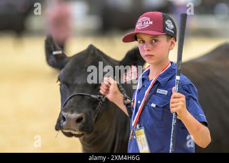 Junge Person, die ihr Tier auf der California Mid-State Fair pflegt Stockfoto