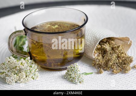 Stillleben von Achillea millefolium, Schafgarbe oder gewöhnlicher Schafgarbe Kräutertee im Glas mit trockenem Teepulver und frischen Blüten. Stockfoto