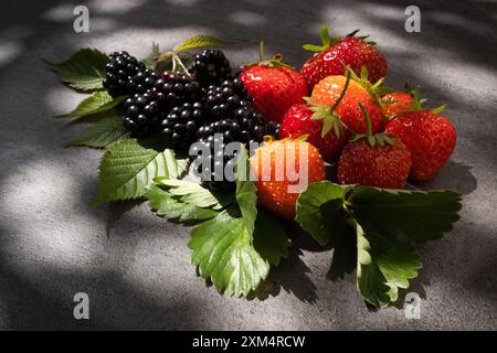 Erdbeeren und Brombeeren über dunklem Hintergrund in natürliches Sonnenlicht Stockfoto