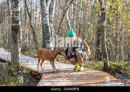Die lächelnde Frau spielt, unterrichtet Befehle und gibt dem reinrassigen Hund Magyar Vizsla im Wald Snacks Stockfoto