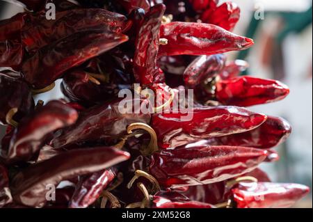 Piment d'Espelette, getrocknete rote heiße Chilischoten aus dem Dorf Espelette im Baskenland in den Bergen, Frankreich, Gewürz, französische Gewürze Stockfoto