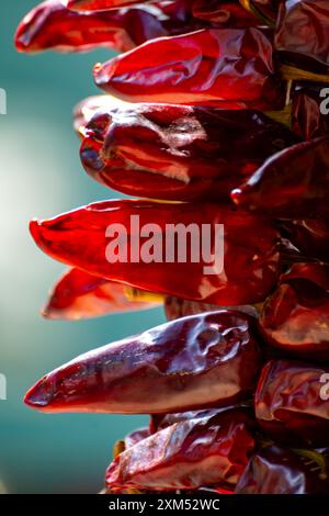 Piment d'Espelette, getrocknete rote heiße Chilischoten aus dem Dorf Espelette im Baskenland in den Bergen, Frankreich, Gewürz, französische Gewürze Stockfoto