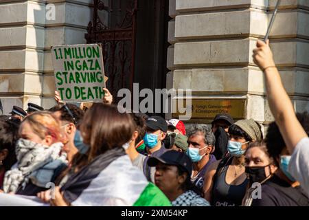 Pro-palästinensische Demonstranten marschierten zum Foreign & Common Wealth Office und inszenierten einen Streicher, der den Eingang zu Regierungsbüros blockierte Stockfoto