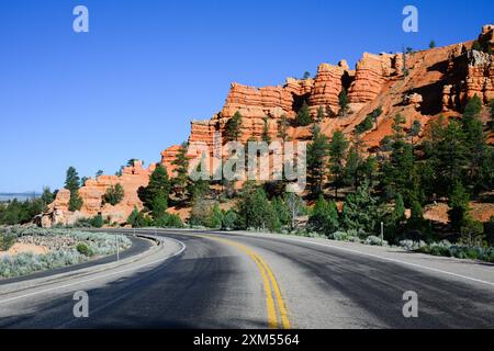 Highway 12 führt durch den Red Canyon mit roten Klippen und Bäumen in Utah Stockfoto