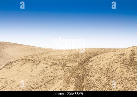 Dieses Foto fängt die weitläufige und ruhige Landschaft der Dune du Pyla in Frankreich ein. Die Sanddünen erstrecken sich unter einem klaren blauen Himmel Stockfoto