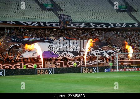 Fortaleza, Brasilien. Juli 2024. CE - FORTALEZA - 07/25/2024 - BRASILEIRO B 2024, CEARA x BOTAFOGO-SP - Fans während eines Spiels zwischen Ceara und Botafogo-SP im Stadion Arena Castelao für die brasilianische B 2024 Meisterschaft. Foto: Baggio Rodrigues/AGIF Credit: AGIF/Alamy Live News Stockfoto