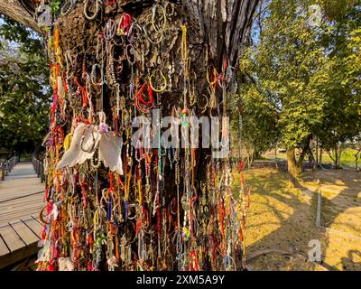 Der Tötungsbaum, gewidmet denen, die während des Konflikts der Roten Khmer in Choueng Ek, Phnom Pehn, Kambodscha getötet wurden. Stockfoto